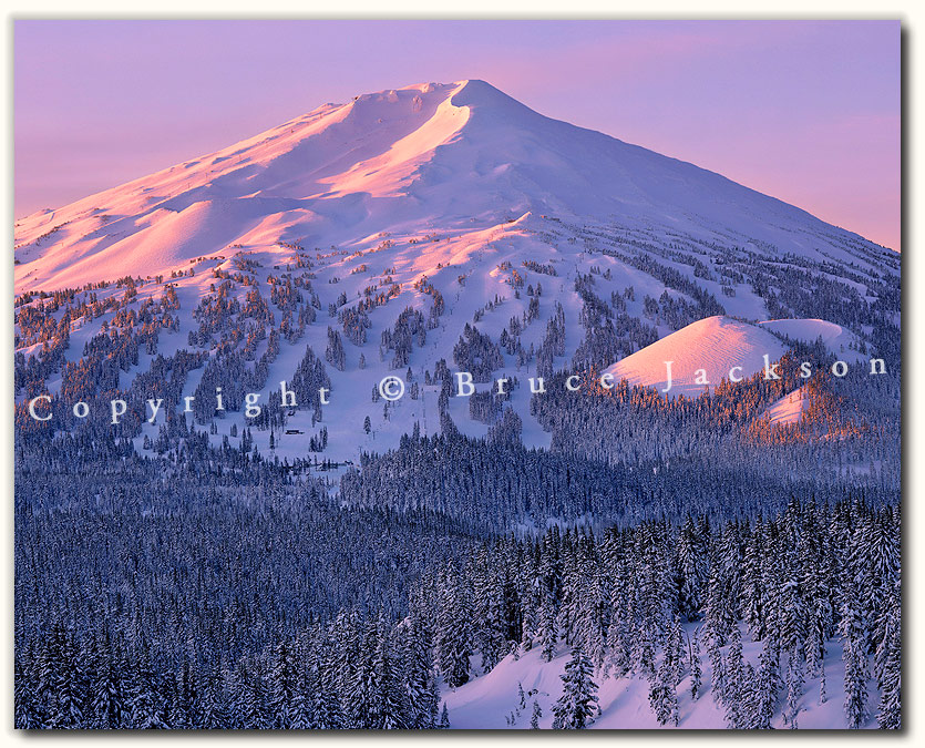 Pine Marten - Mt. Bachelor by Bruce Jackson