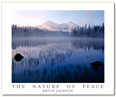 The Nature Of Peace